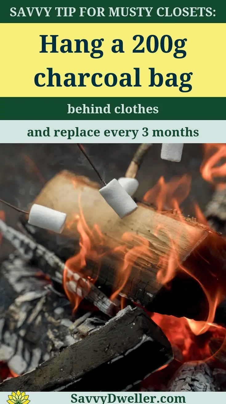 Tips for using activated charcoal bags to absorb odors in closets.