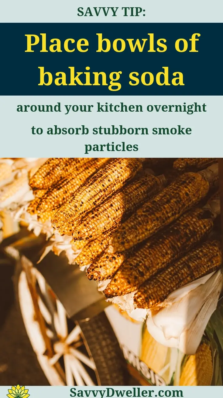 Baking soda bowls absorbing burnt food smell in the kitchen