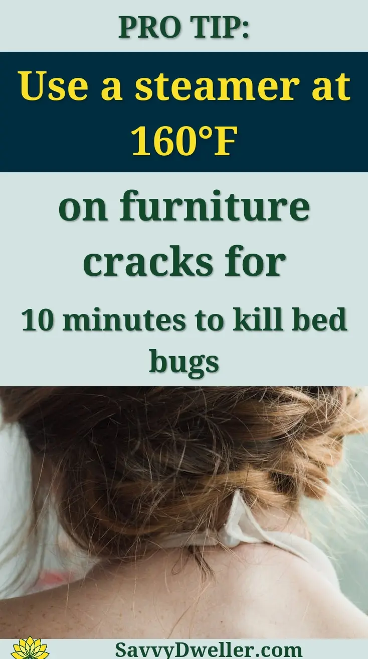 Infographic suggesting the use of a steamer to kill bed bugs, related to bed bug myths.