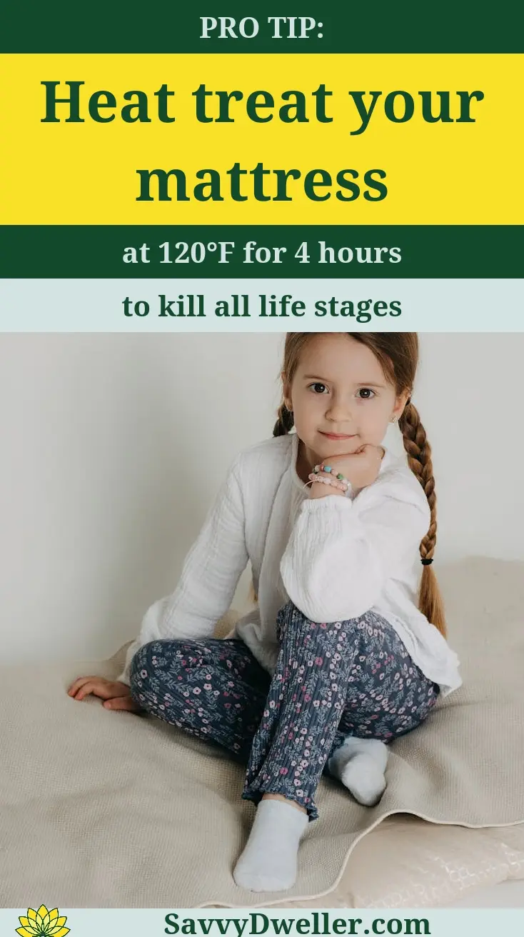 A child sitting on a mattress demonstrating how to heat treat it to eliminate bed bugs.