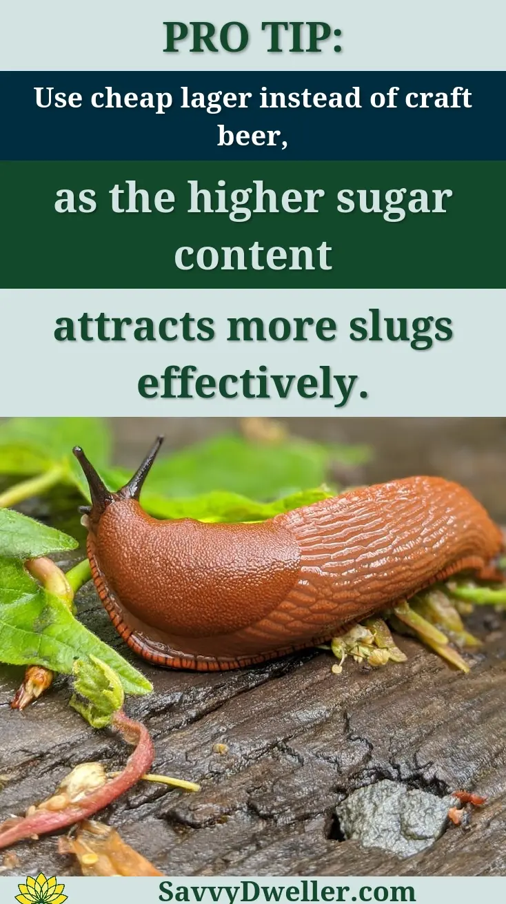 Detailed close-up of a red slug on wet wood surrounded by green foliage.