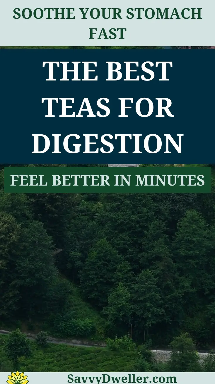 An assortment of herbal teas aimed at soothing an upset stomach and aiding digestion.