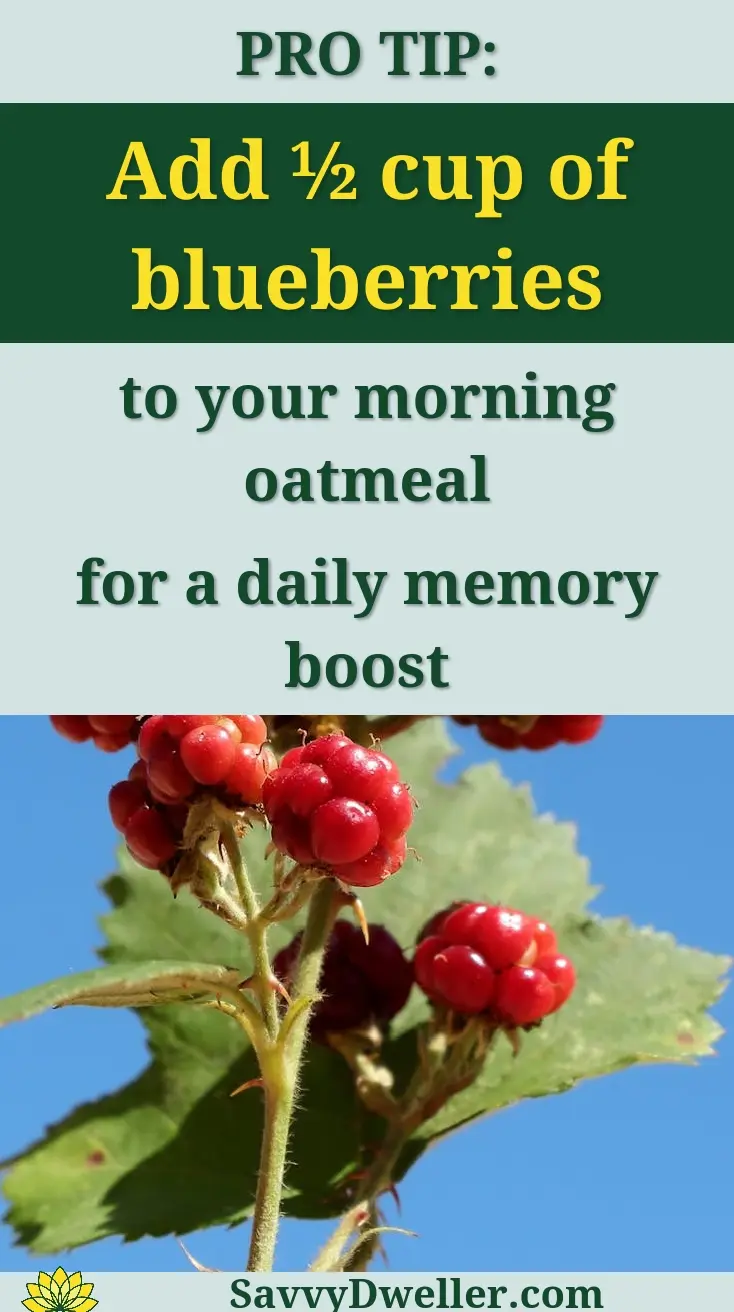 Blueberries with a text tip on adding them to oatmeal for memory enhancement
