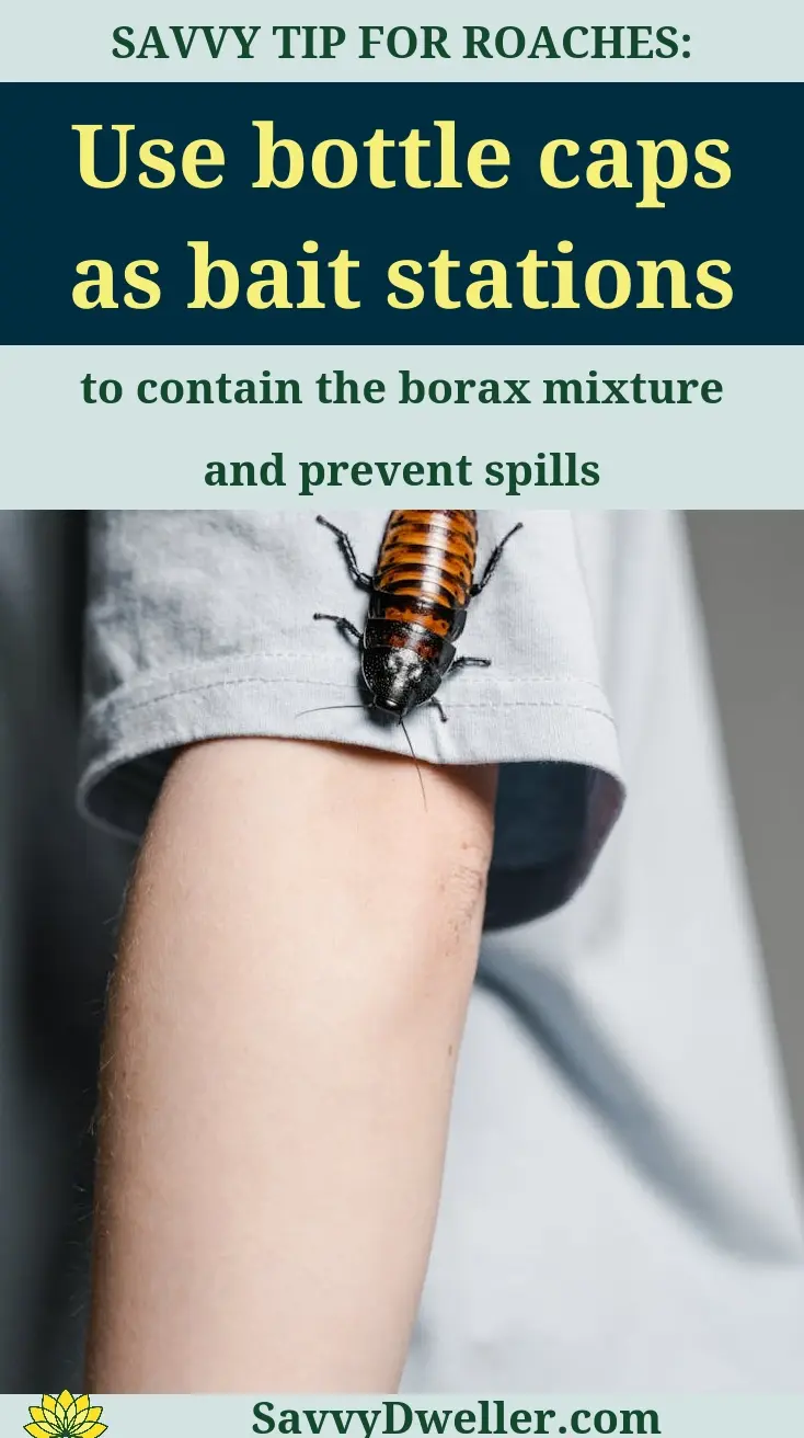 Using bottle caps as bait stations for Borax and sugar to control roaches