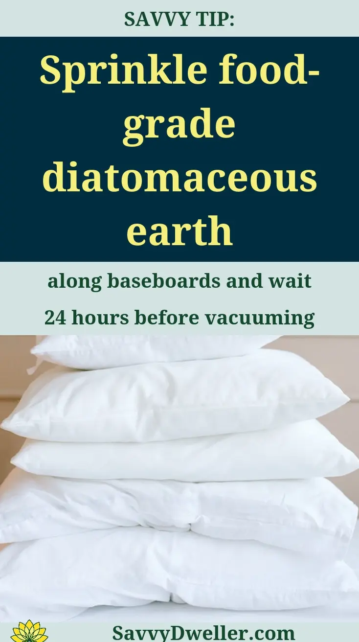 Diatomaceous earth applied along baseboards to fight carpet beetles