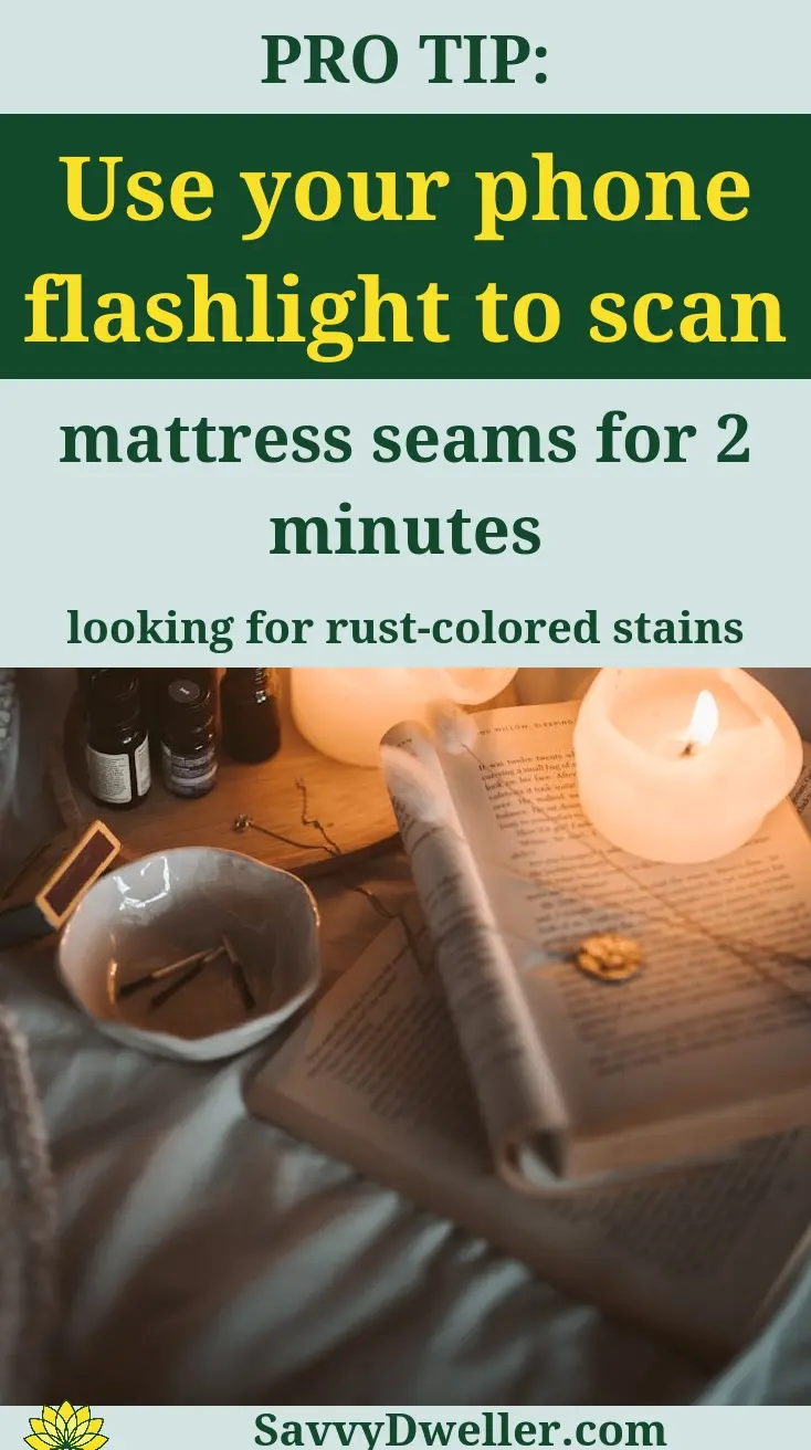 Using a flashlight to inspect mattress seams for bed bugs and rust-colored stains