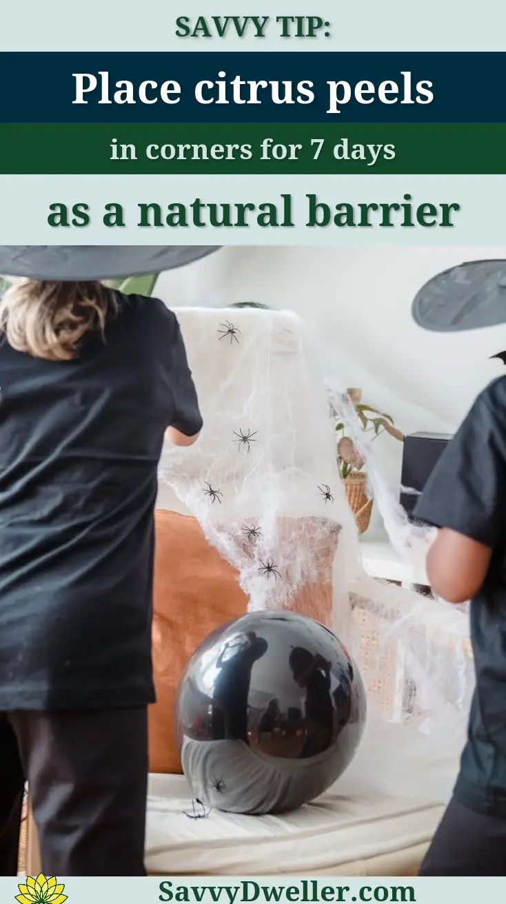 Children dressed as witches prepare Halloween decorations with bats and spider webs indoors.