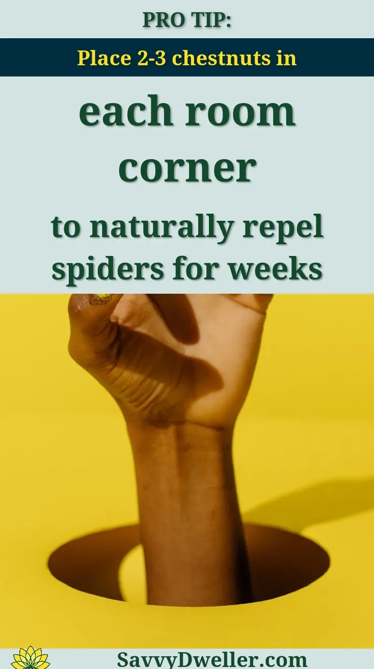 Hand holding a leather purse with cleaning supplies for leather care.