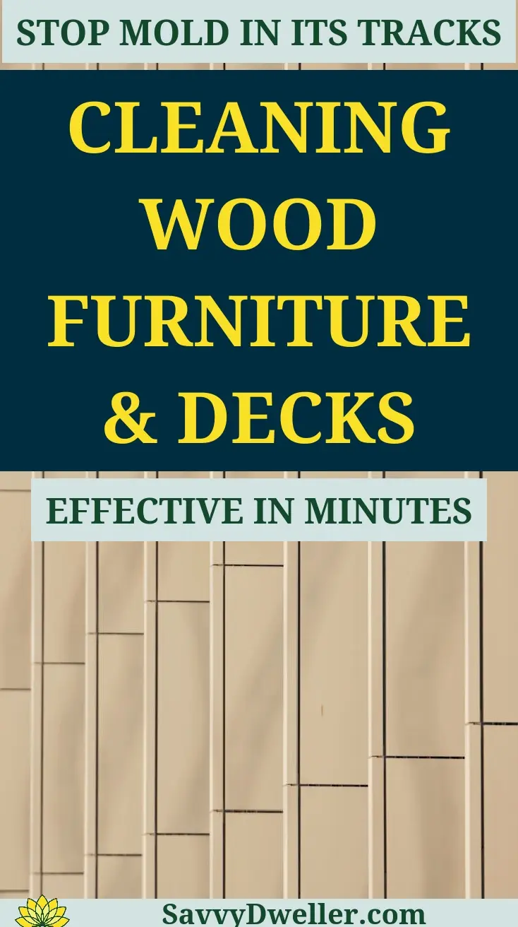 Image depicting effective methods for cleaning mold off wood furniture and decks.