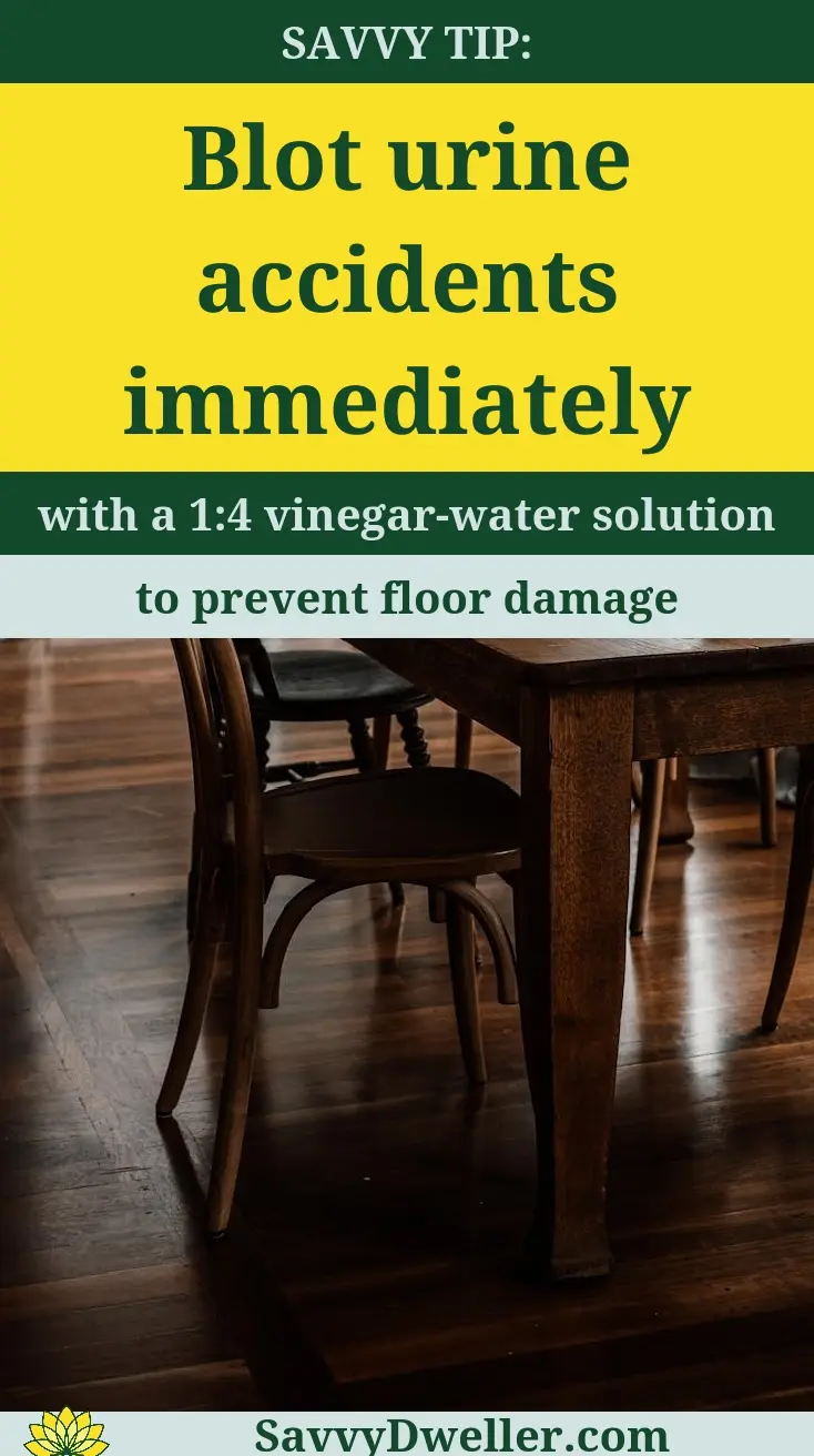 Tip for pet owners on cleaning hardwood floors: Blot urine accidents immediately with a vinegar-water solution.