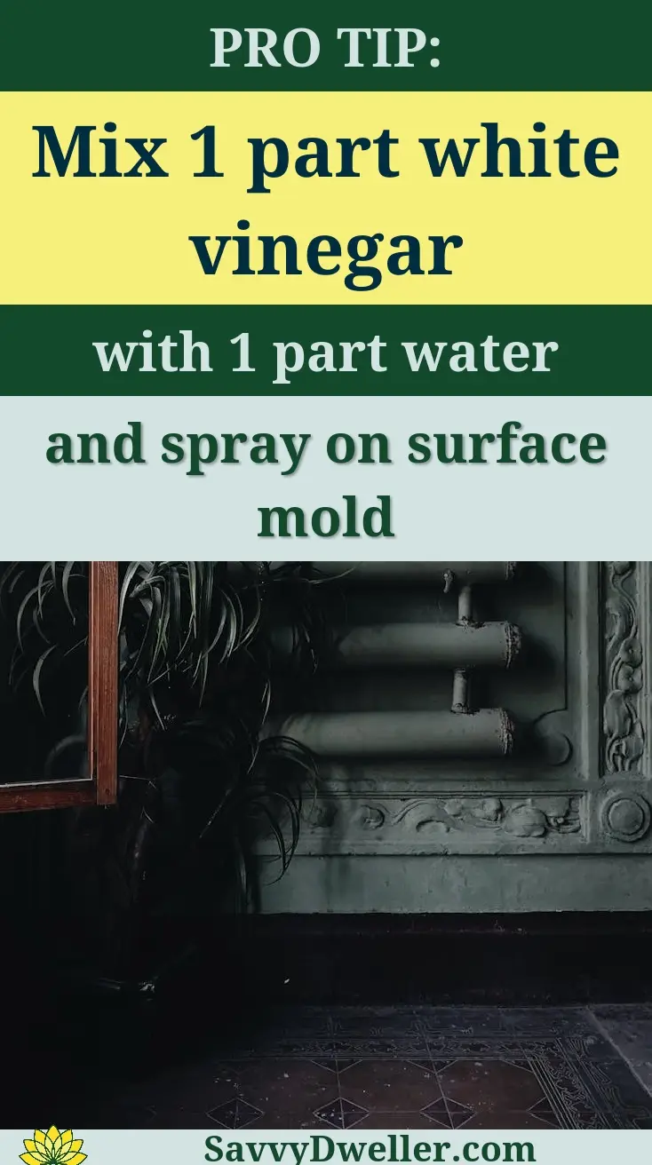 Mixing vinegar and water solution to clean mold off wood furniture