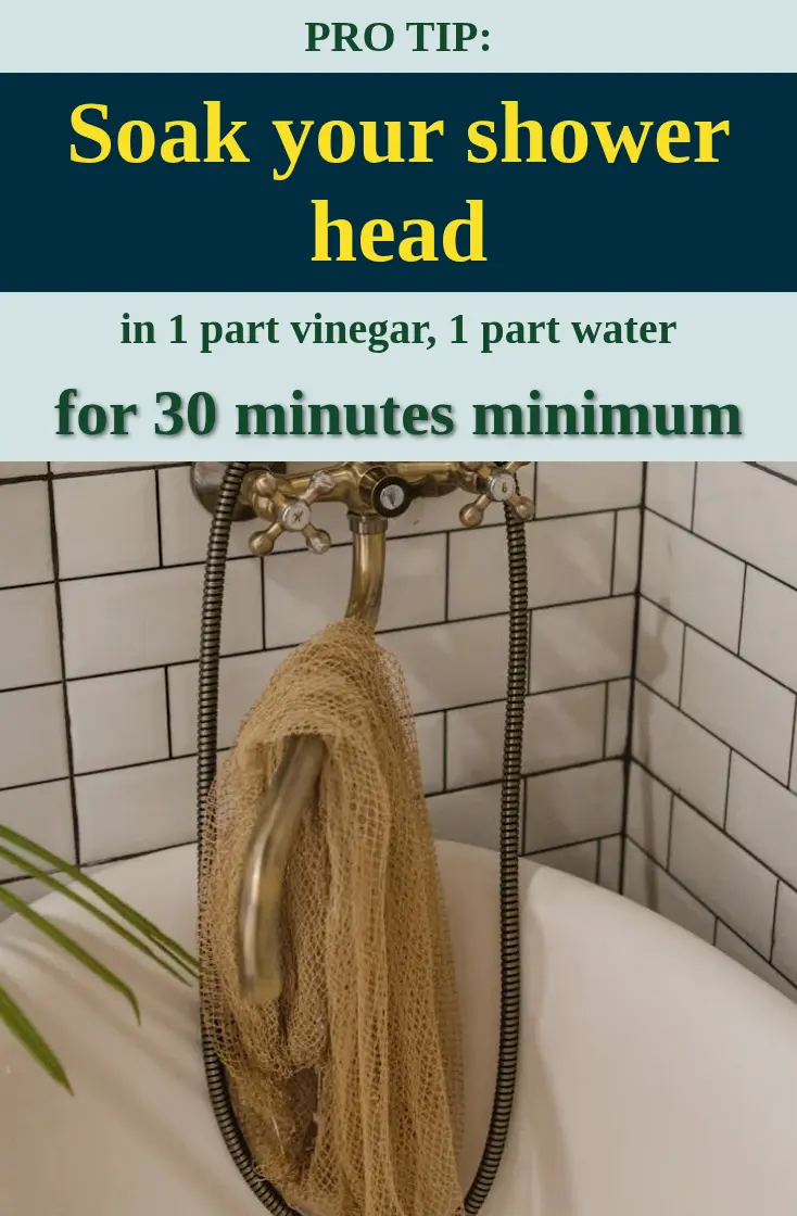 Soaking a shower head in vinegar and water to clean tile grout.