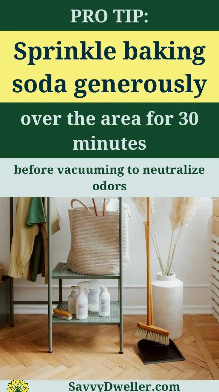Tip for cleaning vomit from carpet or couch using baking soda