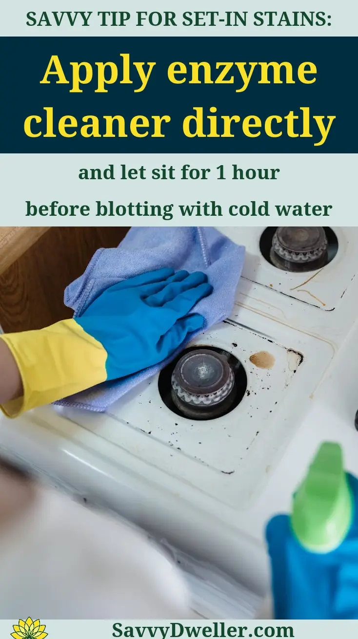 Cleaning vomit from carpet or couch with enzyme cleaner for effective removal