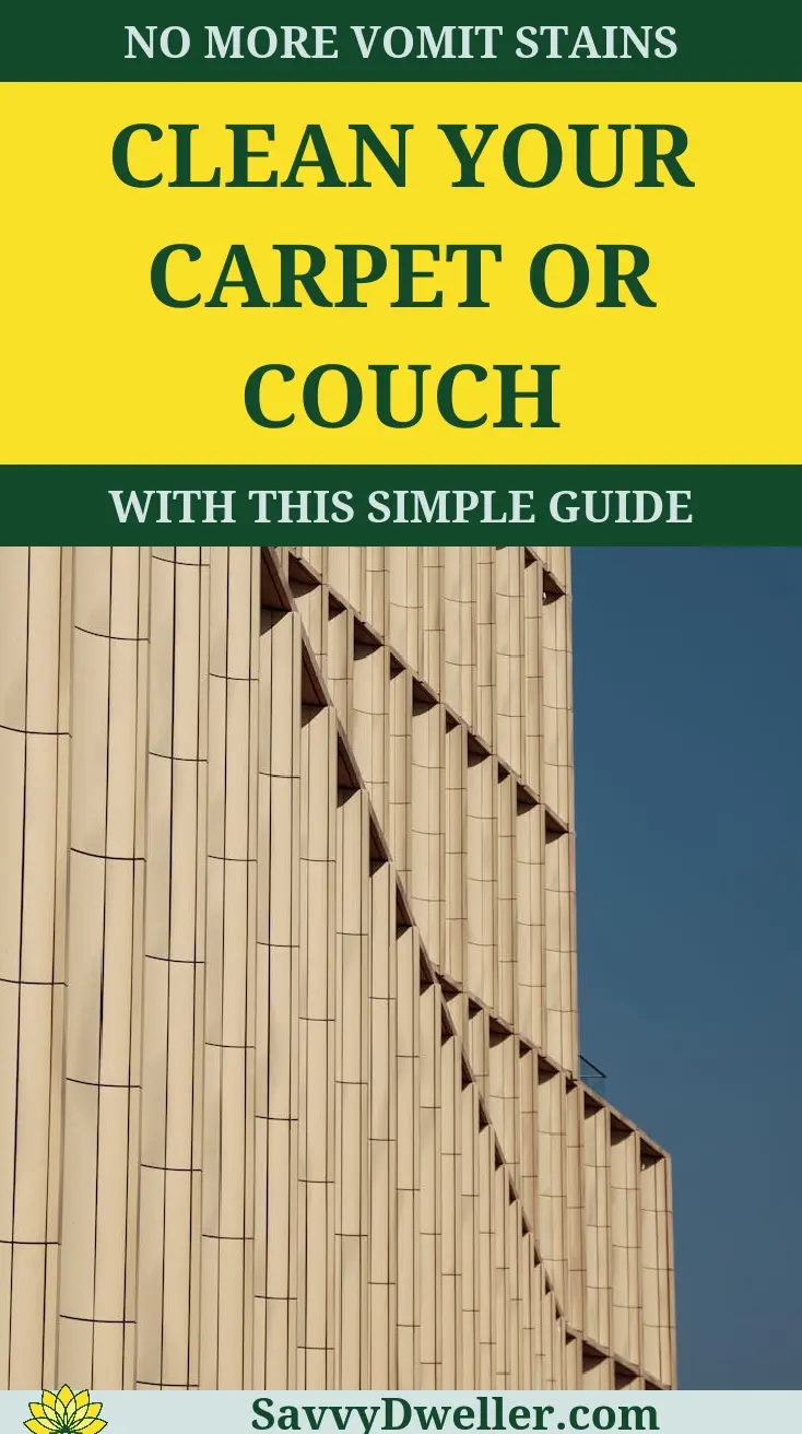 Step-by-step guide for cleaning vomit from carpet or couch