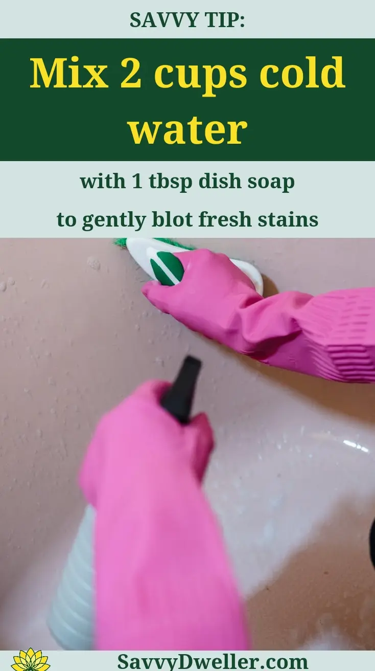 Mixing cold water and dish soap for cleaning vomit stains from carpet or couch