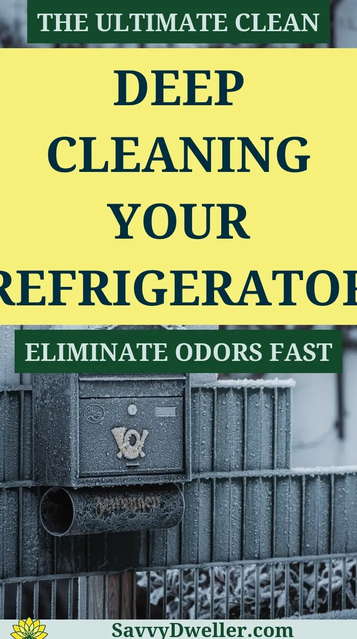 Step-by-step guide on deep cleaning your refrigerator and eliminating odors.