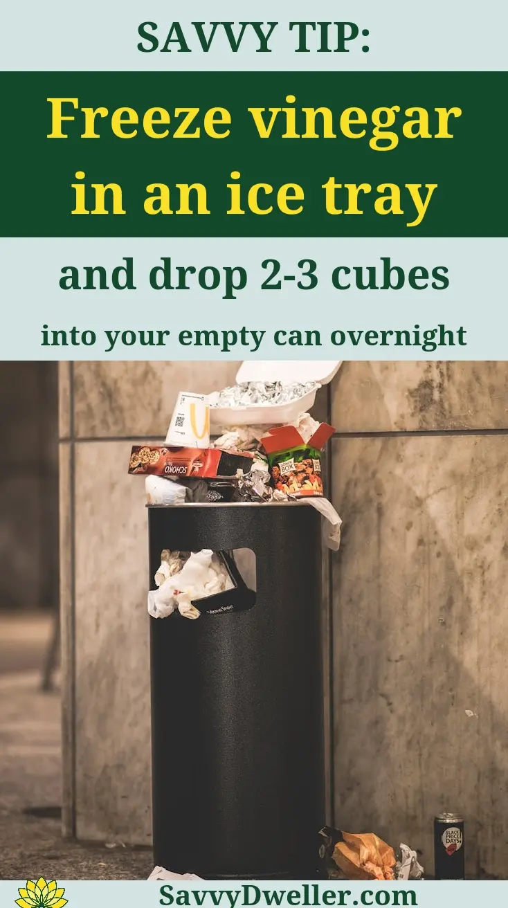 A smelly trash can with ice cubes made of vinegar to neutralize odors.