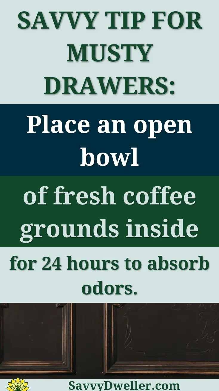 A lush green climbing plant elegantly draped over a vintage wooden cabinet indoors.