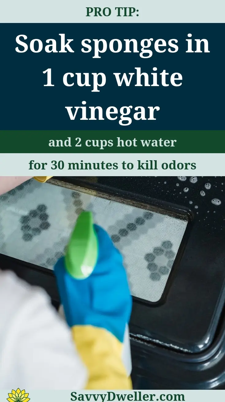 Image showing a person soaking sponges in vinegar solution to deodorize dish towels and sponges.