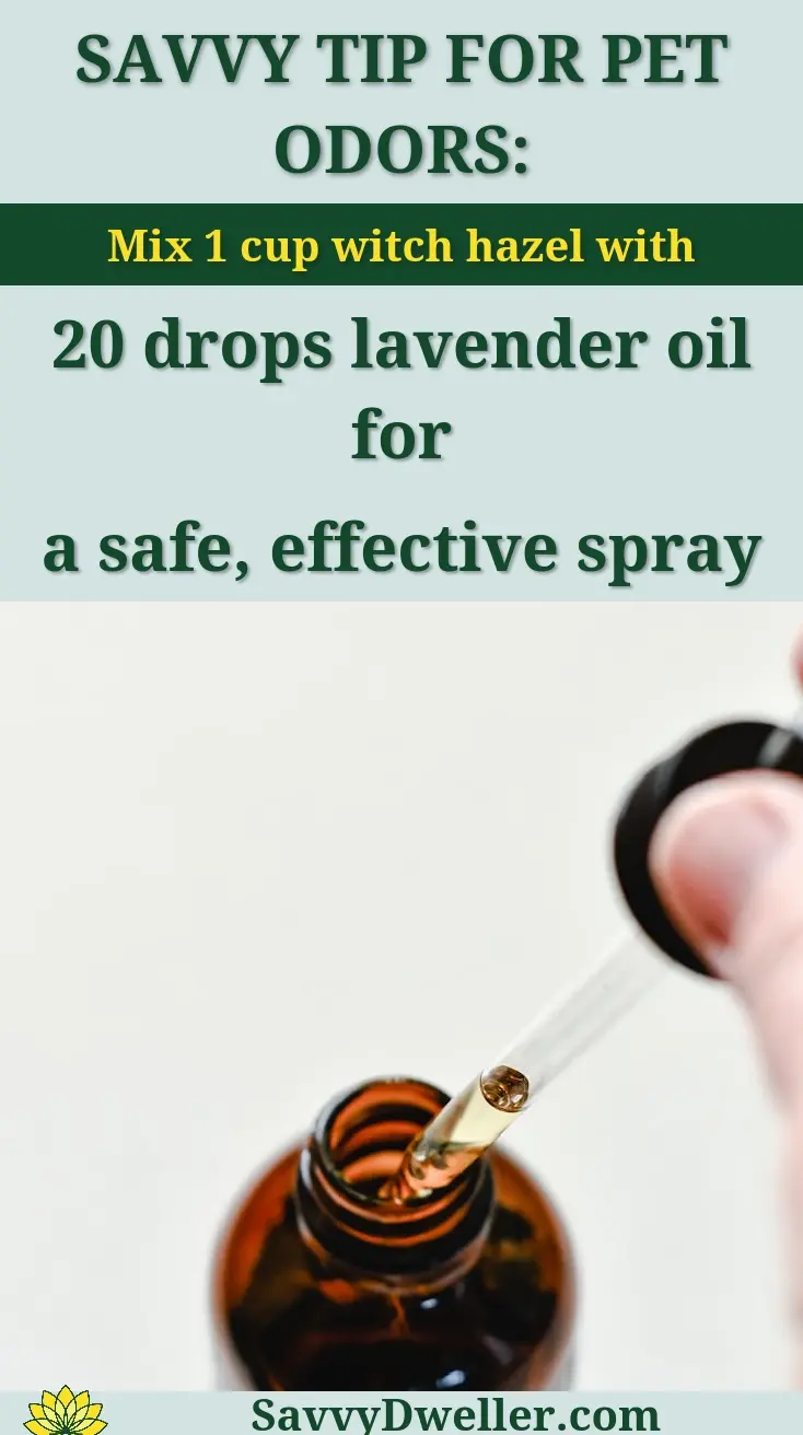 Close-up of a glass dropper with liquid above an amber bottle on a light background.