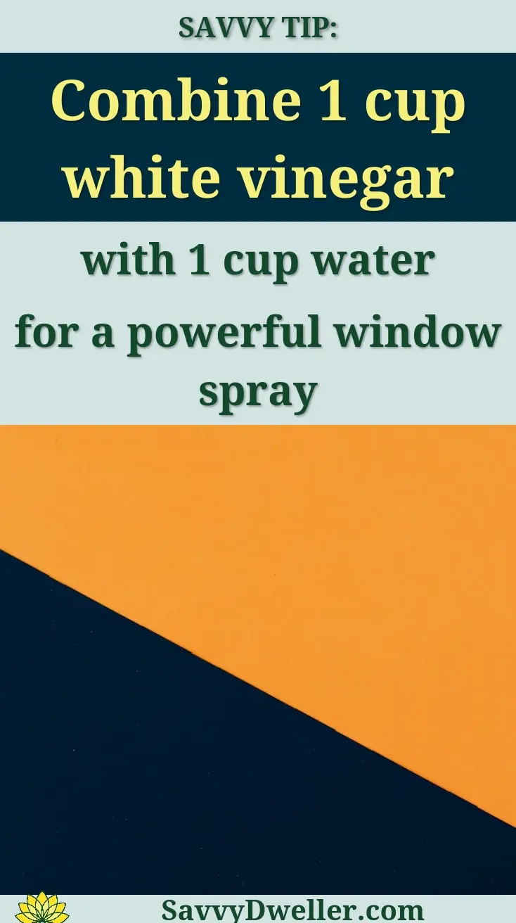 A recipe for a DIY spider repellent spray using white vinegar and water for windows and doors.