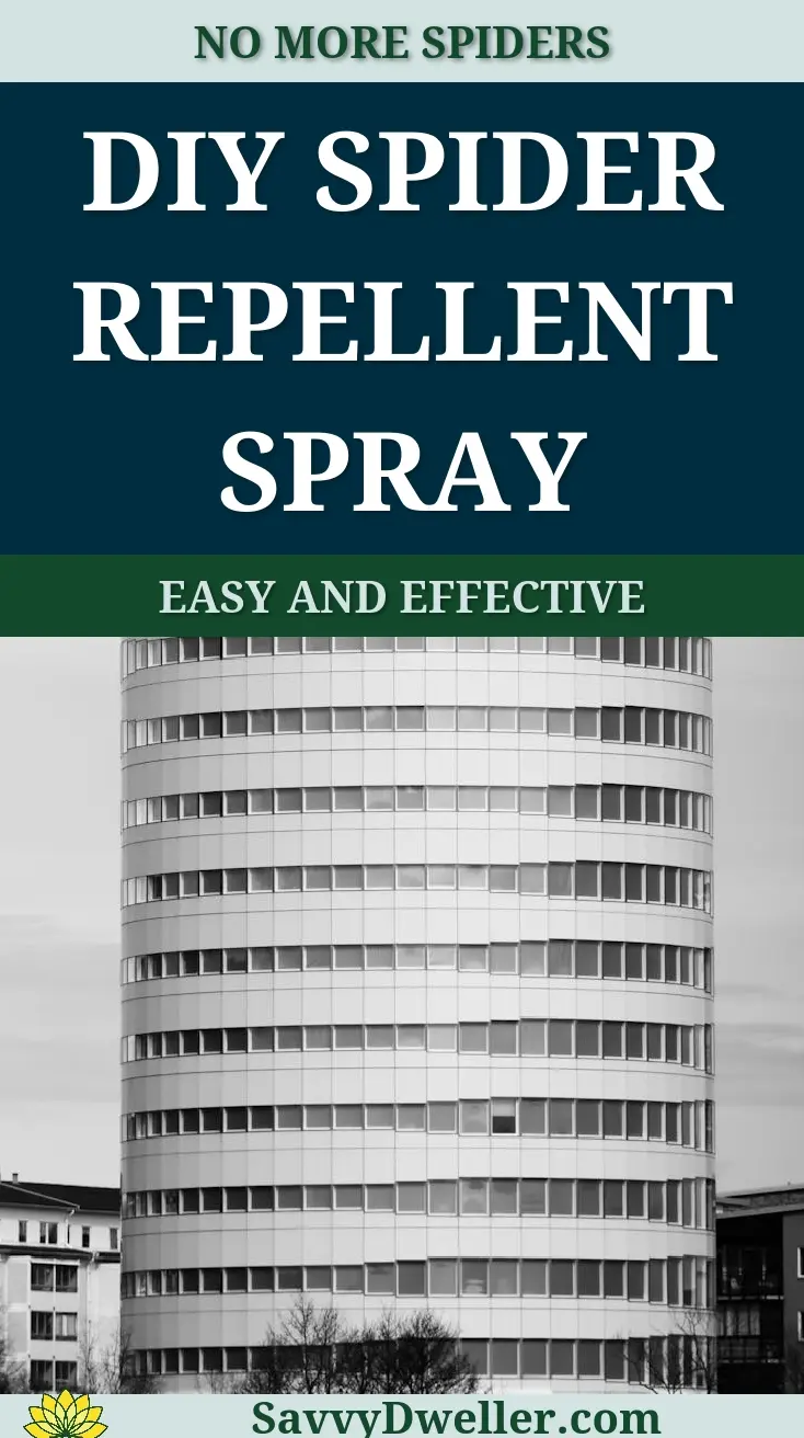DIY spider repellent spray guide for windows and doors to keep spiders away