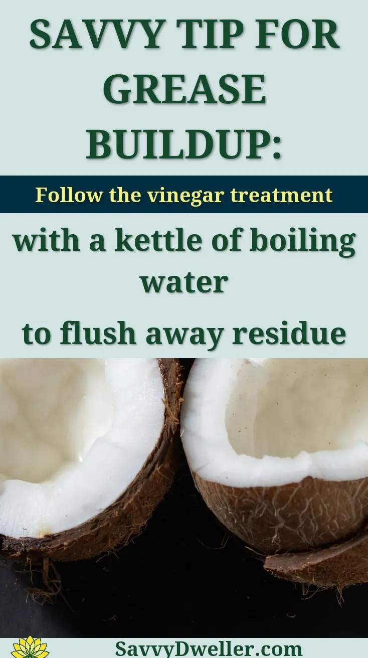 Vertical shot of open coconuts displaying white pulp and shells on a dark background.
