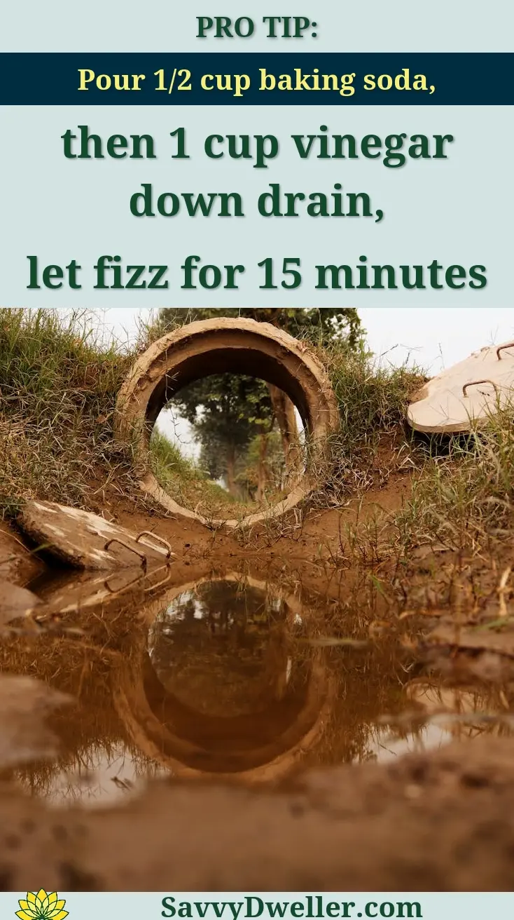 A detailed view of a rural drain pipe with water reflection in a muddy puddle and a tree in the background.