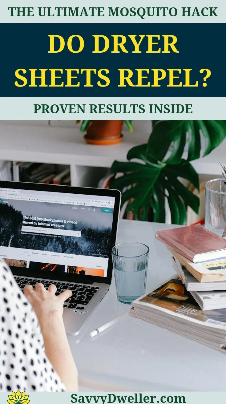 Blog article image discussing the effectiveness of dryer sheets in repelling mosquitoes.