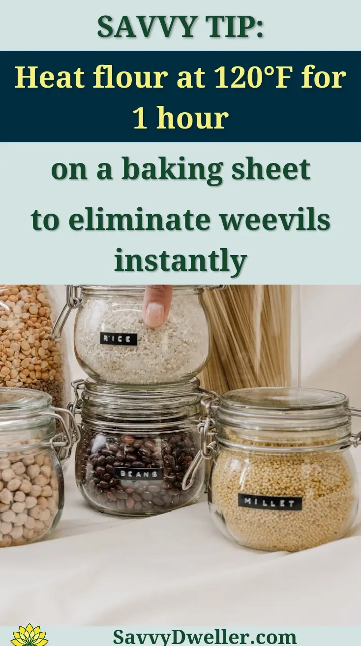 Image showing jars of rice, beans, and millet with a tip on how to eliminate weevils in flour.