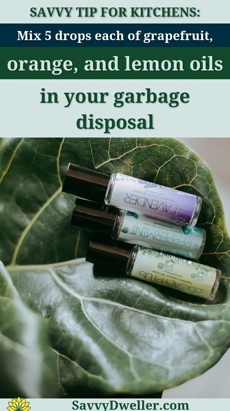 Three essential oil bottles with lavender, peppermint, and eucalyptus on a lush green leaf.