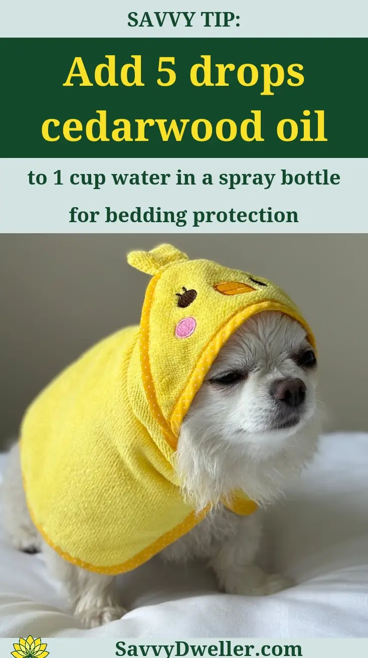Dog in a yellow towel demonstrating essential oils for repelling fleas safely.