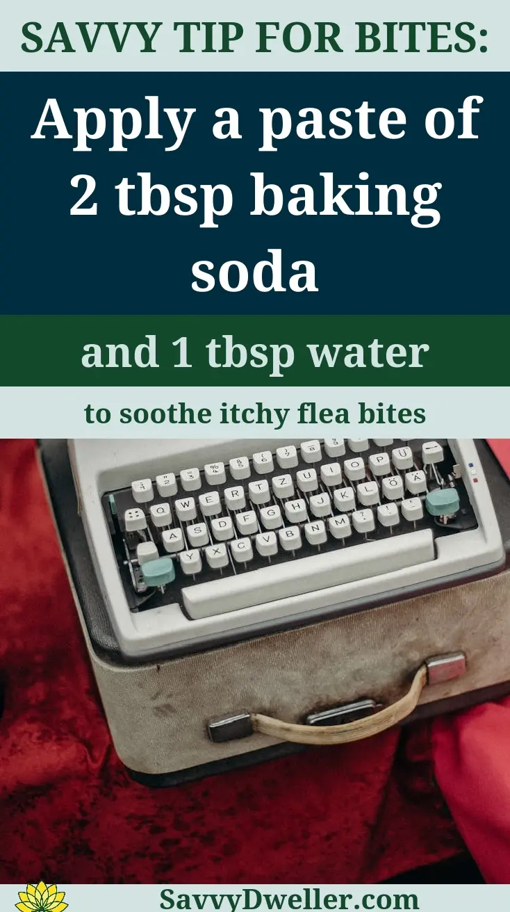 Tip for soothing itchy flea bites using baking soda and water, related to fleas living on humans.
