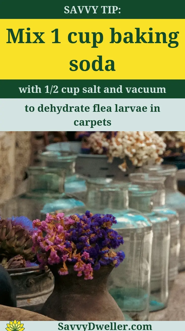 Baking soda and salt mixture for controlling fleas on humans