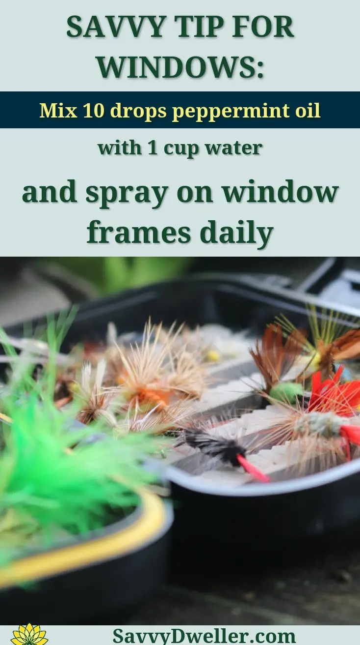 Peppermint oil mixture to prevent flies in your house