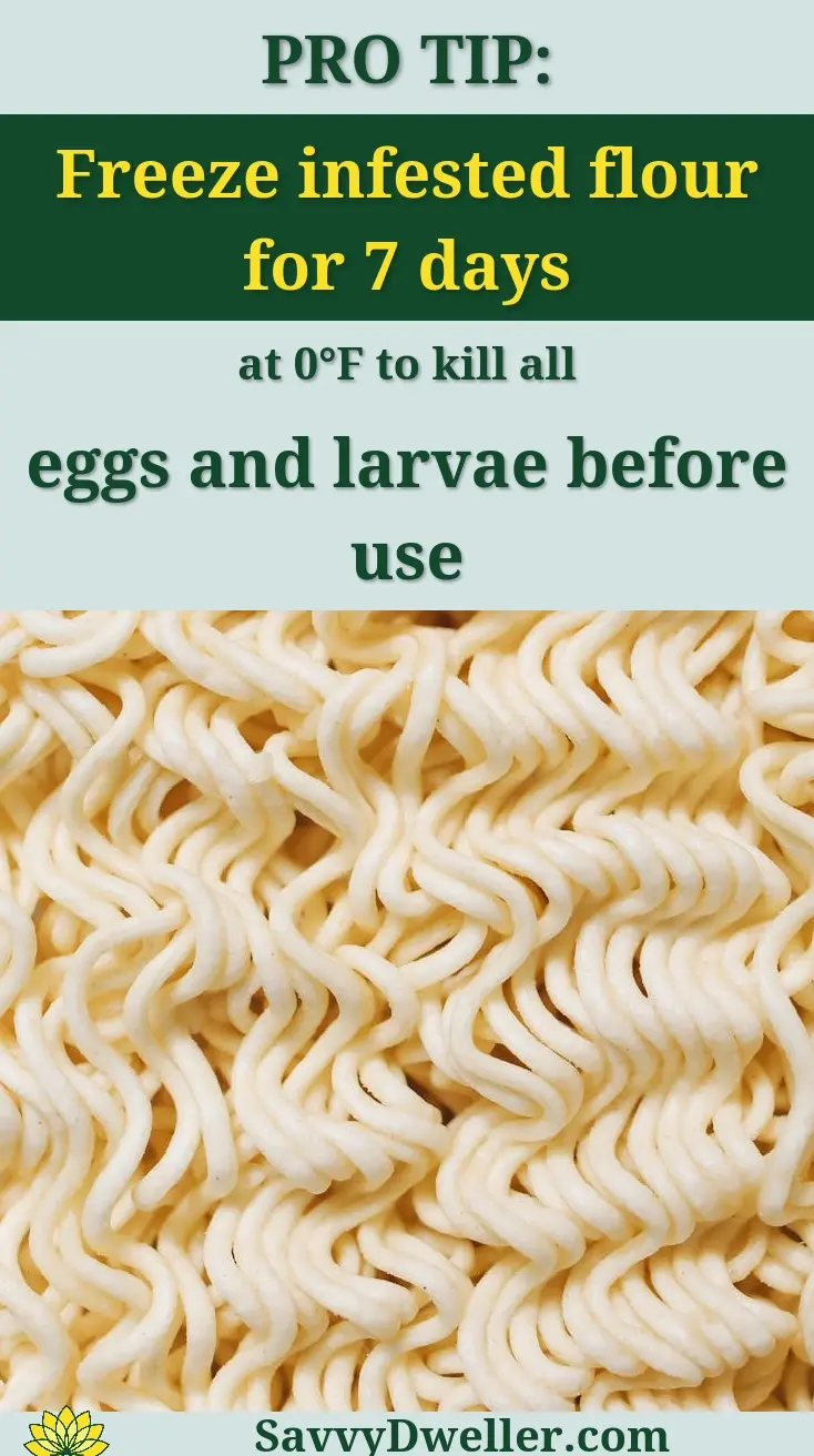 Freezing infested flour to eliminate weevils and larvae