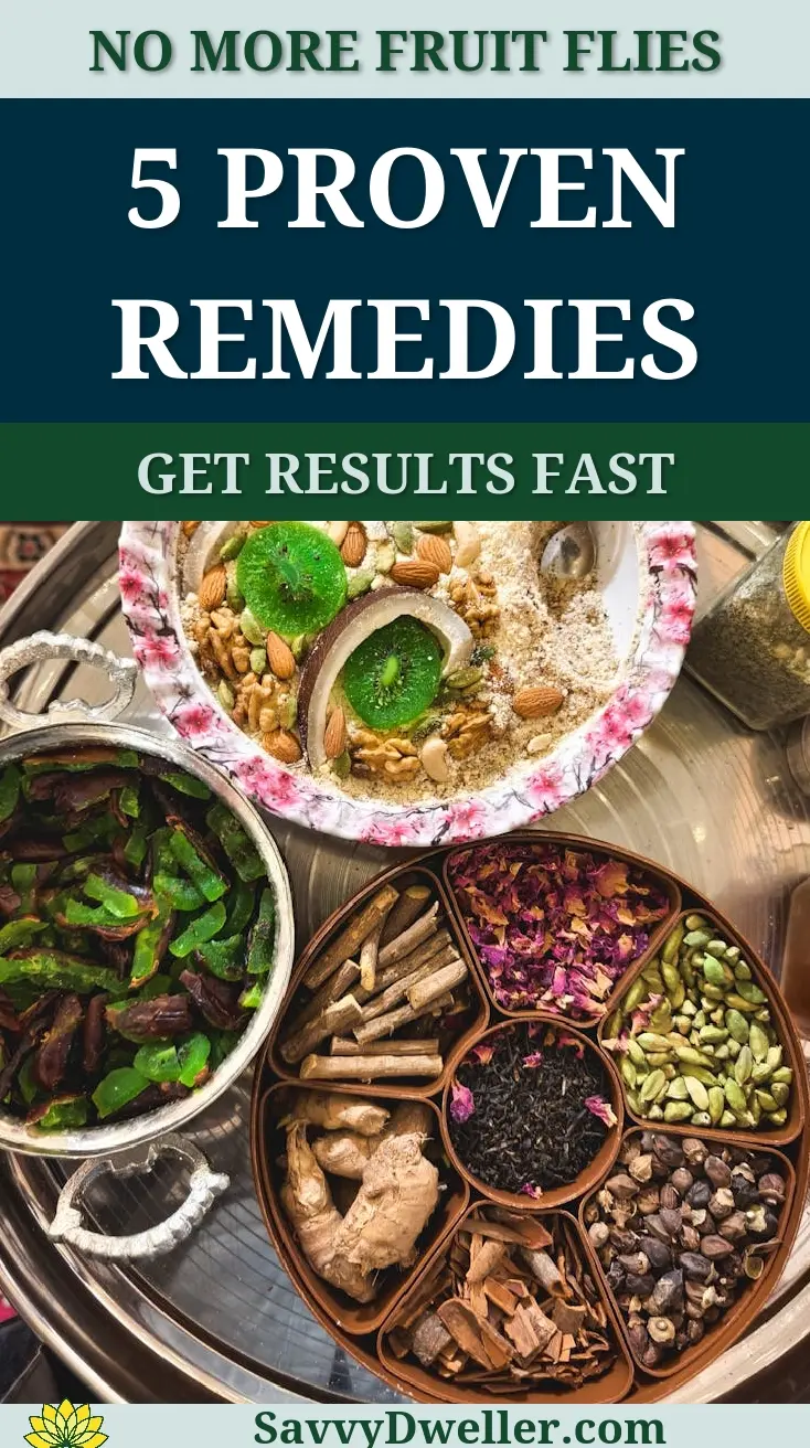 Natural remedies to get rid of fruit flies quickly.