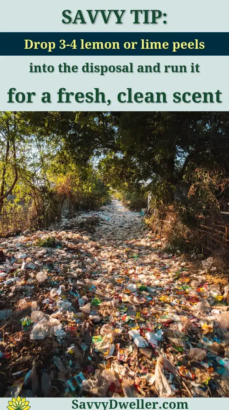 A forest pathway in Myanmar covered with plastic pollution and litter amidst trees.