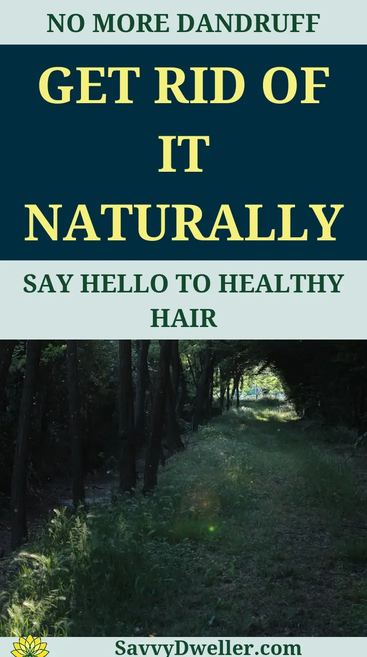 Natural remedies for dandruff prevention and hair health