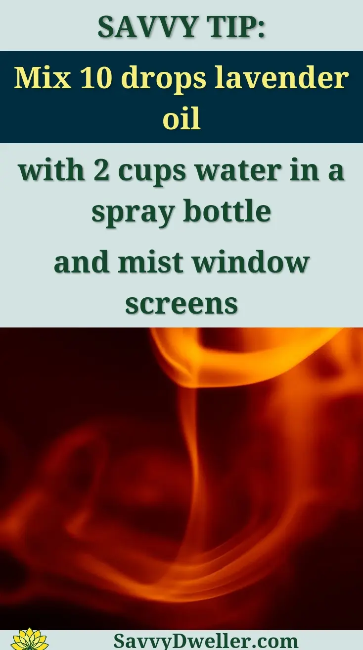 Lavender oil spray preparation for mosquito control at night.