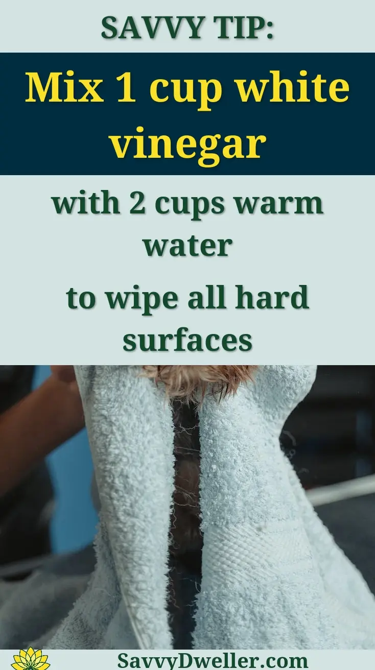 A cute wet puppy wrapped in a towel during drying routine indoors.