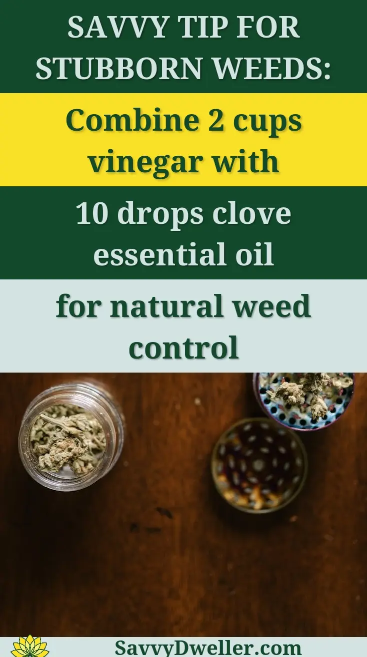 Glass jar, grinder, and joint papers on a wooden table, representing cannabis culture.