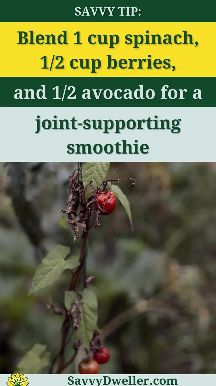 Ingredients for a joint-supporting smoothie: spinach, berries, and avocado.