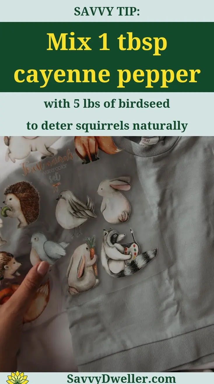 Mixing cayenne pepper with birdseed to keep squirrels away from feeders