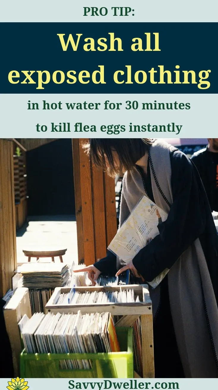 Woman washing exposed clothing to eliminate flea eggs