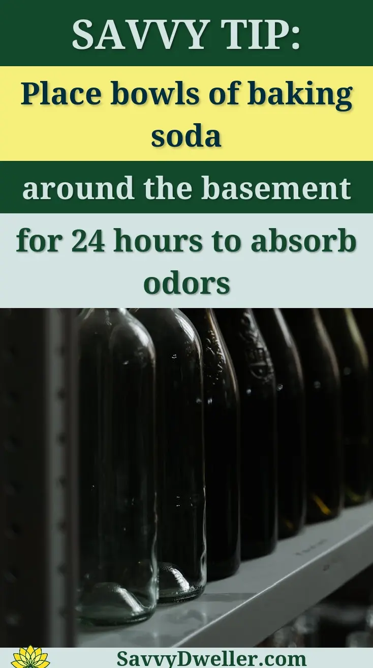 A vertical shot of glass wine bottles arranged in a row on a storage shelf in a basement setting.