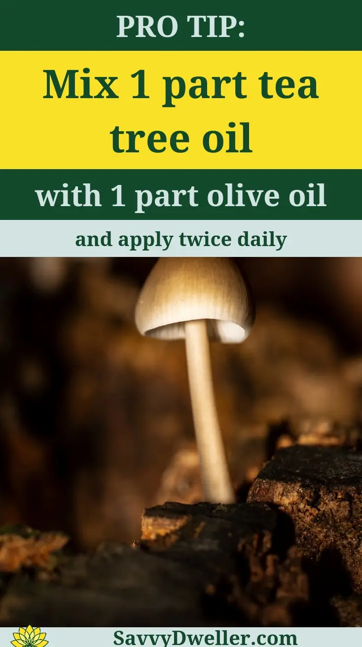 Home remedies for nail fungus, highlighting tea tree oil and olive oil mixture.