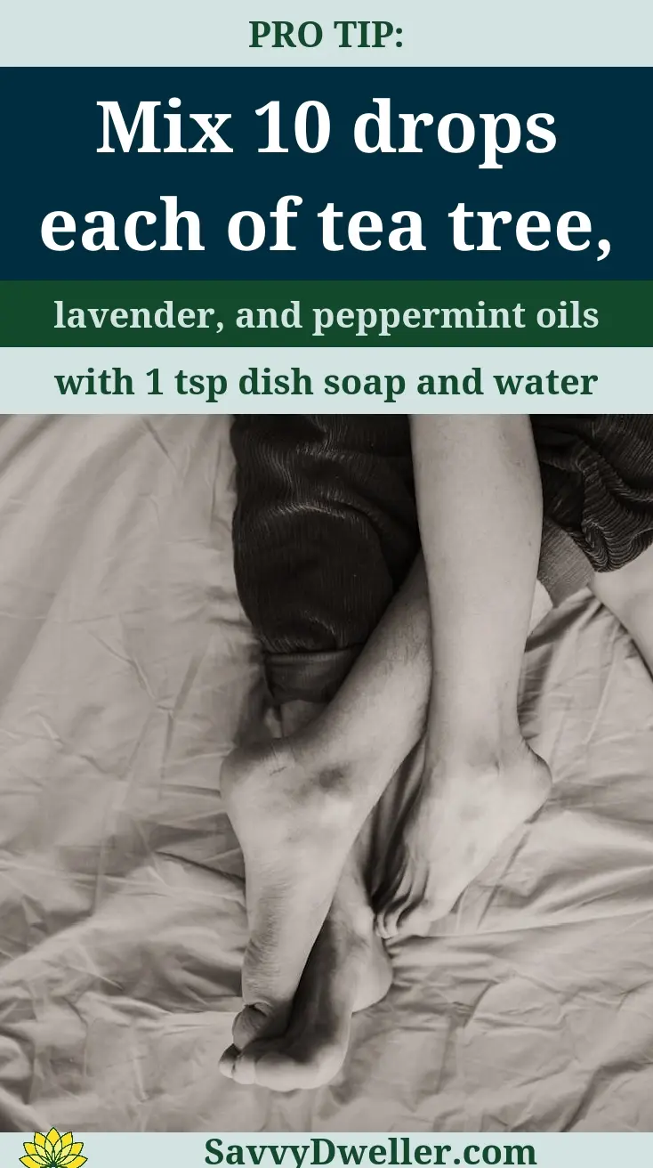Ingredients for a natural bed bug spray including tea tree, lavender, and peppermint oils.