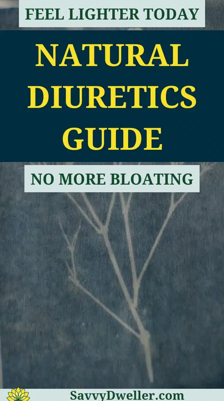 Guide to Natural Diuretics for Reducing Bloating and Water Weight